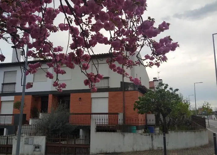 Villa Flaviae